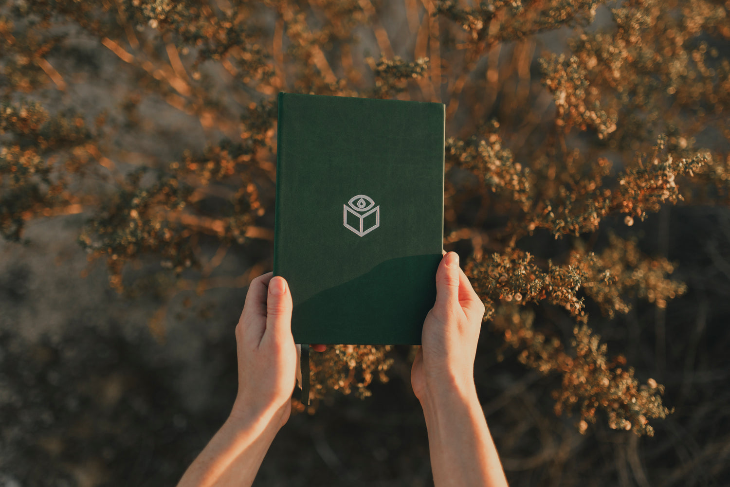 Hands holding the closed dark-green journal up against dry desert brush.